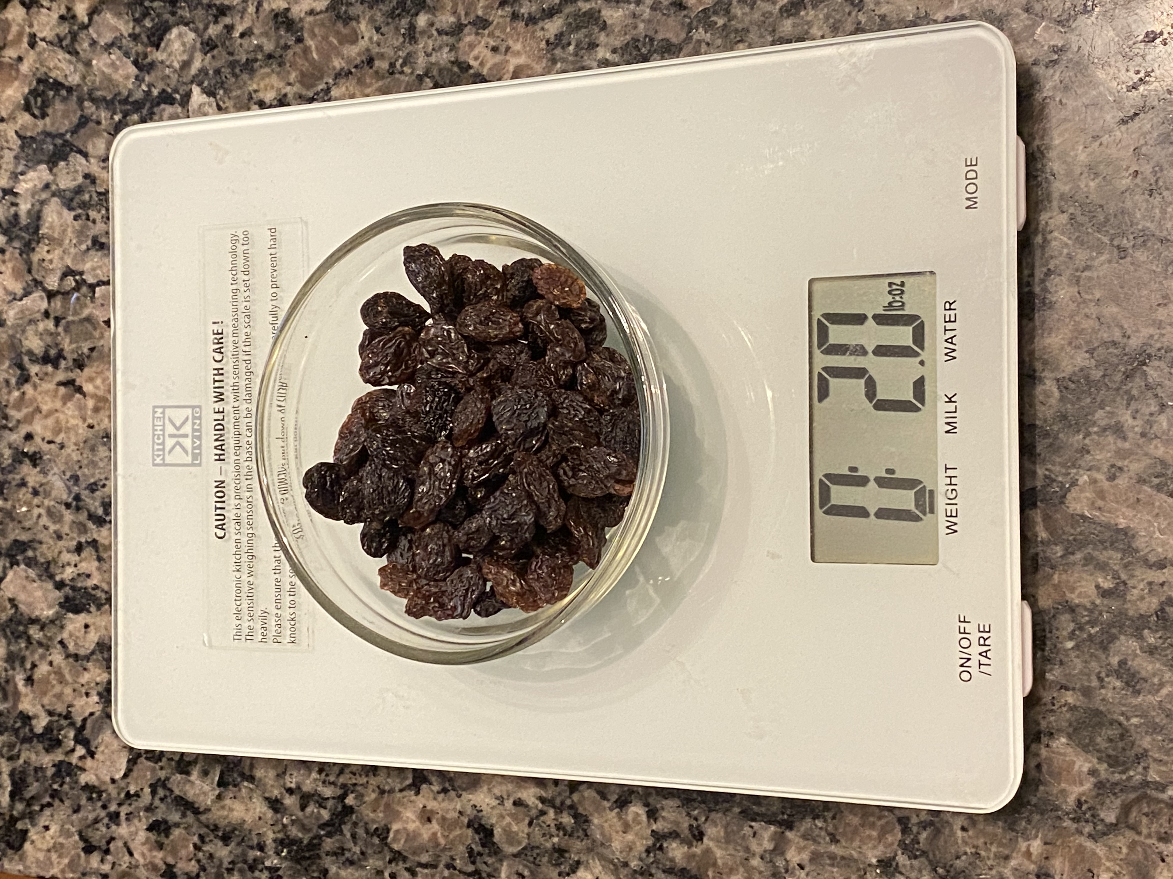 raisins on scale IMG_5772